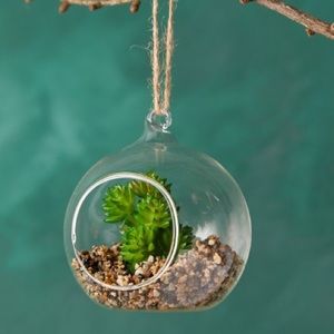 Anthropologie faux Succulent Terrarium Ornament